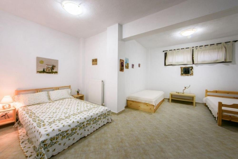 Katevi Luxury Seafront Villa Ierissos Eksteriør billede