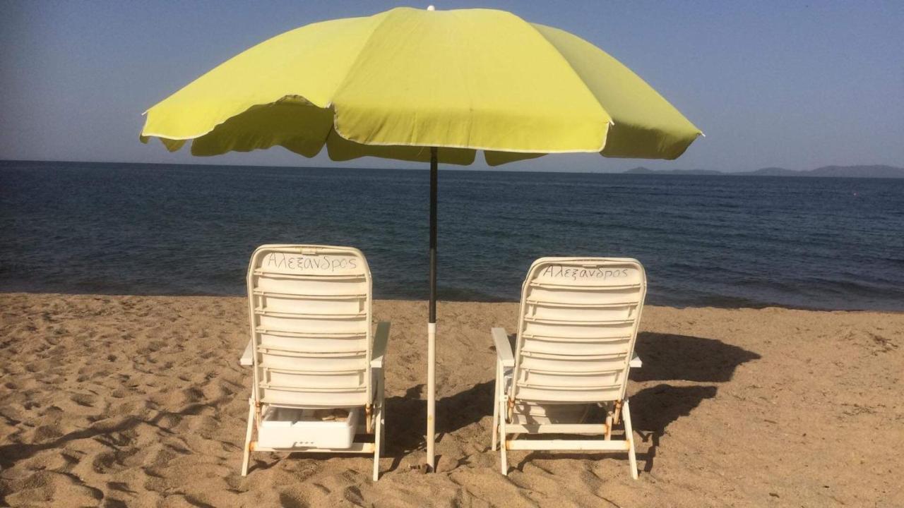 Katevi Luxury Seafront Villa Ierissos Eksteriør billede